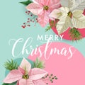 Christmas Winter Poinsettia Flower Banner, Graphic Background, Floral December Invitation, Flyer or Card Royalty Free Stock Photo