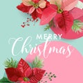 Christmas Winter Poinsettia Flower Banner, Graphic Background, Floral December Invitation, Flyer or Card. Modern Front Page Royalty Free Stock Photo