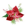 Christmas Winter Poinsettia Flower Card or Background with place for your text Royalty Free Stock Photo