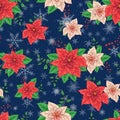 Christmas Winter Poinsettia Flowers Seamless pattern, Floral Pattern Print in vector Royalty Free Stock Photo