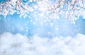 Christmas or Winter scene with snowy branches over snowy white wooden table. Winter background with copy space Royalty Free Stock Photo