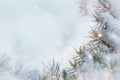 Christmas winter snow background. Blue spruce branches covered with snowflakes and copy space with blurred backdrop. Chris Royalty Free Stock Photo