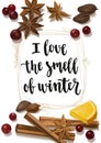 Christmas winter spice and season quote.