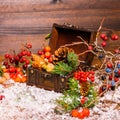 Christmas winter still life with opened full chest, apple, nuts, cones, berries, fir tree and snow, closeup Royalty Free Stock Photo