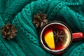 Christmas and winter traditional hot beverage. Mulled wine in red mug with spice wrapped in warm green sweater. Royalty Free Stock Photo