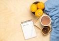 Christmas wish list in notepad with pen and tea,tangerine and blue sweater on wooden background