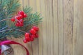 Christmas wooden background with fir tree and red berries Royalty Free Stock Photo