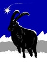 Christmas with ibex in the snow