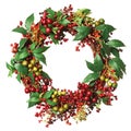 Christmas wreath Royalty Free Stock Photo