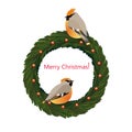 Christmas wreath with birds Royalty Free Stock Photo