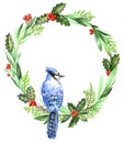 Christmas wreath blue jay on a branch