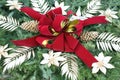 Christmas wreath close-up