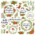 Christmas wreath collection, winter floral set.