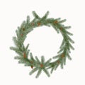 Christmas wreath with cones and berries isolated on a white background