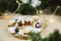 Christmas wreath with cookies. New Year's gift of gingerbread. Christmas tree decorated with lights Royalty Free Stock Photo