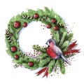 Christmas wreath Green New Year Tree Bird Royalty Free Stock Photo