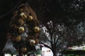 Christmas wreath hanging from trees