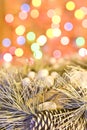 Christmas wreath on lights background