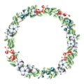 Christmas wreath made of eucalyptus twigs, with cotton and berries. Watercolor illustration. Round frame from a large