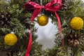 Christmas tree wreath Royalty Free Stock Photo