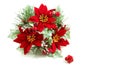 Christmas wreath, poinsettia flowers