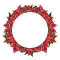 Christmas wreath with poinsettia flowers, hand drawn watercolor illustration isolated on white background. Round frame with floral Royalty Free Stock Photo