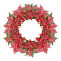 Christmas wreath with poinsettia flowers, hand drawn watercolor illustration isolated on white background. Round frame with floral Royalty Free Stock Photo