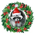 Christmas wreath and Raccoon in red hat Watercolor hand drawn illustration isolated on white background Royalty Free Stock Photo