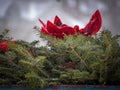 a christmas wreath with red bow and balls Royalty Free Stock Photo