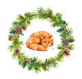 Christmas wreath, sleeping fox and snowflakes. New year watercolor - spruce tree branches, mistletoe, cones Royalty Free Stock Photo