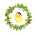 Christmas wreath, small in red santa`s hat. Watercolor bird