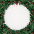 Christmas wreath of tree branches, berries on white background with lights, snowflakes. Royalty Free Stock Photo