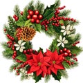 Christmas wreath from winter greenery decoration with holly, red berries, Illustration for design for New Year, Yule, Noel