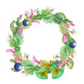 Christmas wreath with Zigokaktus Schlumbergera and mistletoe. Hand-drawn watercolor botanical illustration