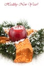 Christmas wreaths with apple Royalty Free Stock Photo