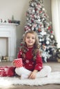 Christmas Royalty Free Stock Photo