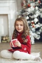 Christmas Royalty Free Stock Photo