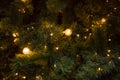 Christmas yellow lights on tree background. Christmas mood