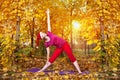 Christmas Yoga trikonasana pose Royalty Free Stock Photo