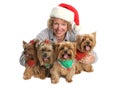 Christmas Yorkie Family Portrait