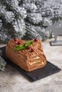 Christmas yule log cake. Traditional chocolate dessert Royalty Free Stock Photo