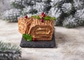 Christmas yule log cake. Traditional chocolate dessert Royalty Free Stock Photo