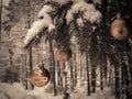 Christmass balls on tree twig. Christmas time Royalty Free Stock Photo