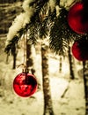 Christmass balls on tree twig. Christmas time Royalty Free Stock Photo