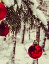 Christmass balls on tree twig. Christmas time Royalty Free Stock Photo