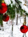 Christmass balls on tree twig. Christmas time Royalty Free Stock Photo