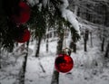 Christmass balls on tree twig. Christmas time Royalty Free Stock Photo