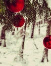 Christmass balls on tree twig. Christmas time Royalty Free Stock Photo