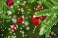 Christmass mood snowflakes falling on a green fir tree branches Bokeh background
