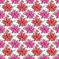 Christmass Seamless Pattern, POinsettia Flower Watercolor Pattern, Christmas Floral Pattern